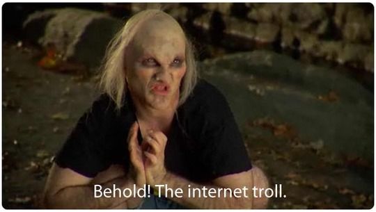 the internet troll