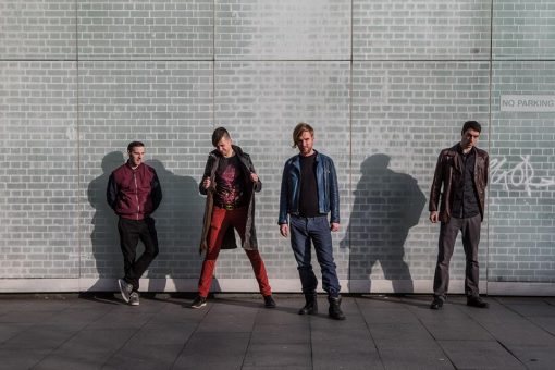 Japanese Fighting Fish