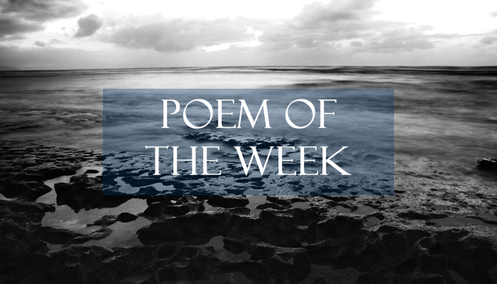 Cultured Vultures Poem of the Week