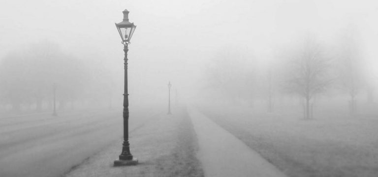 fog and lamppost