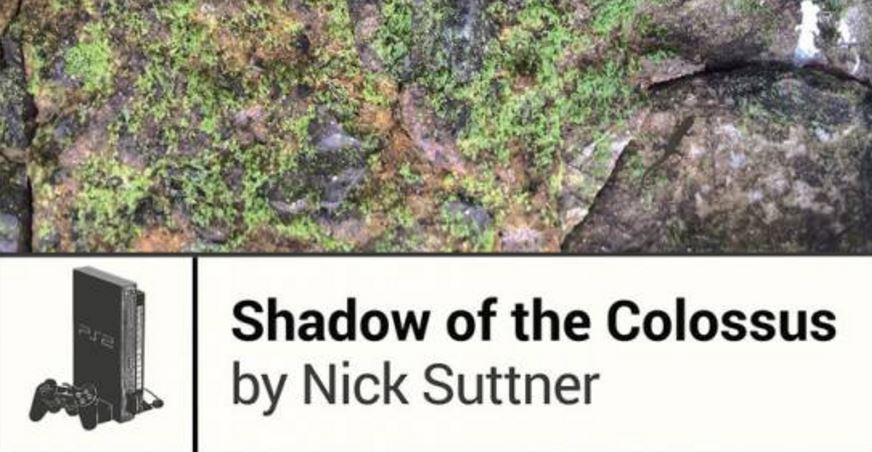 Shadow of the Colossus book