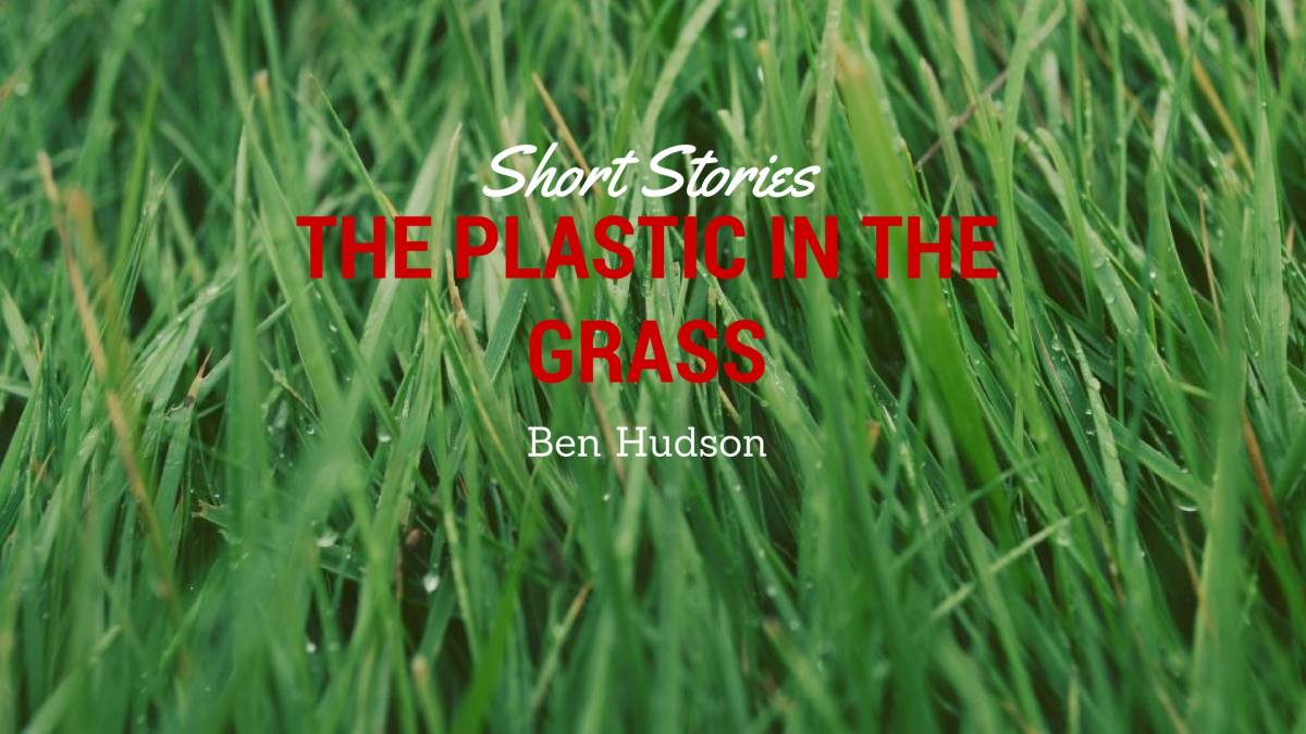 The Plastic in the Grass