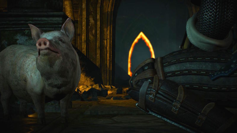 The Witcher 3 pig DLC