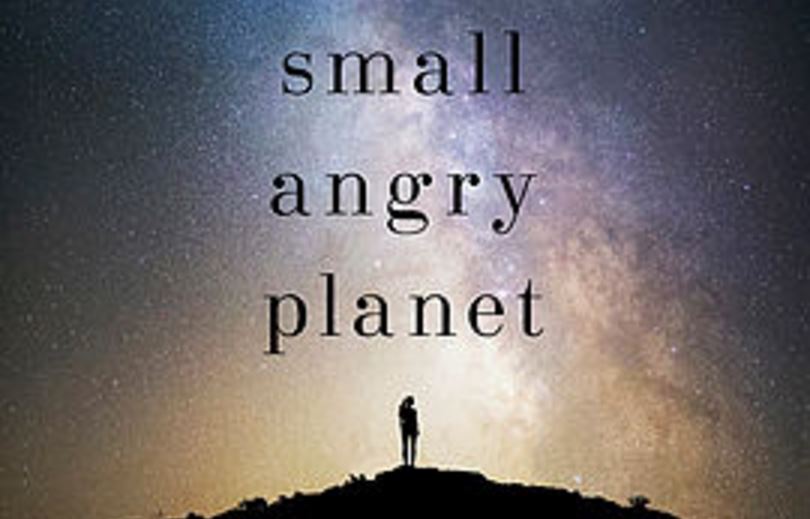 small-angry-planet-book