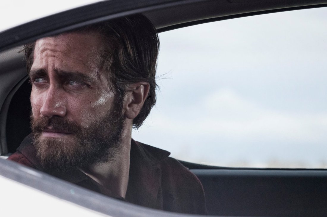 Nocturnal Animals Review Cultured Vultures