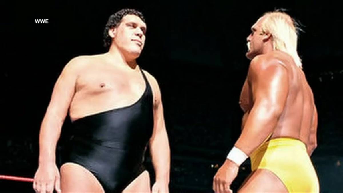 Andre the Giant and Hulk Hogan