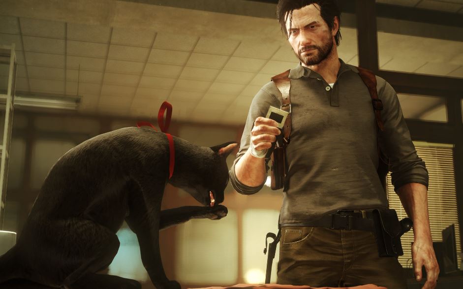 The Evil Within 2 cat