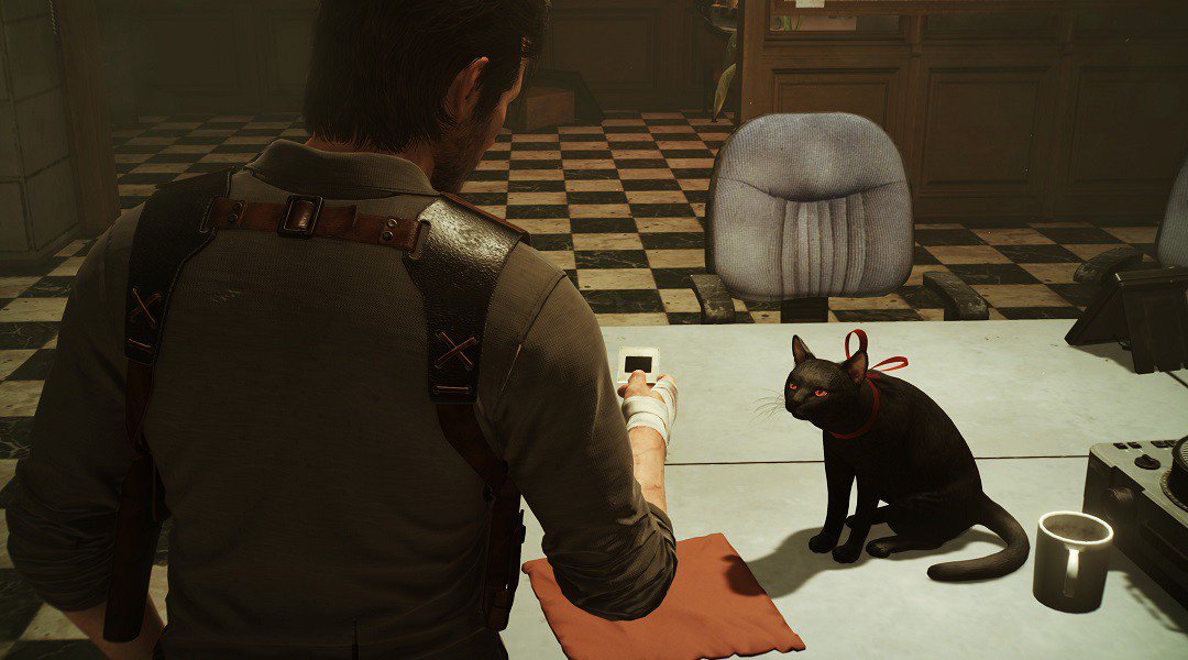 The Evil Within 2 cat