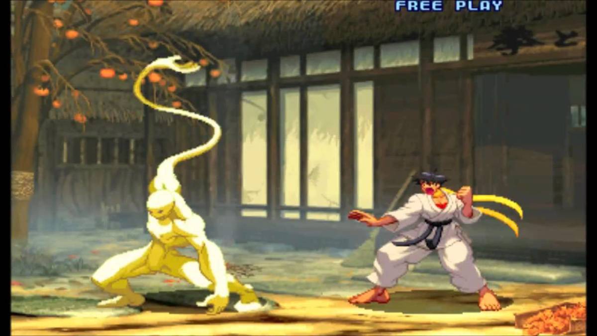 Obscure Street Fighter Characters That Most Players Forgot Existed