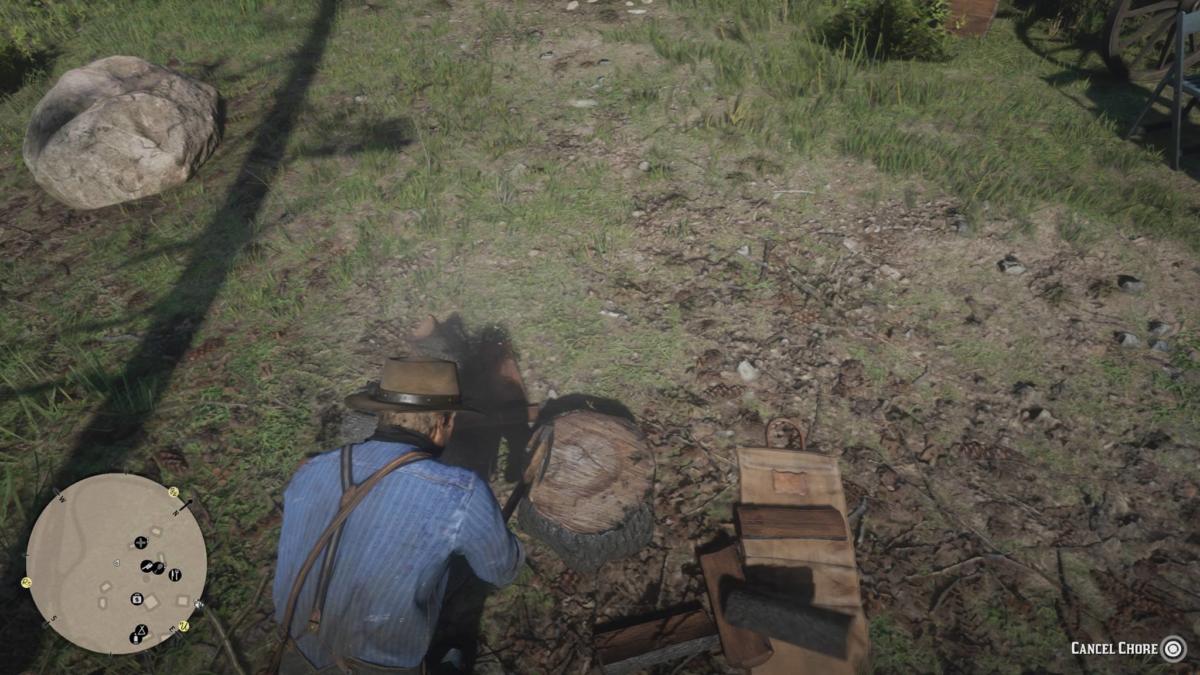 Red Dead Redemption 2 chores