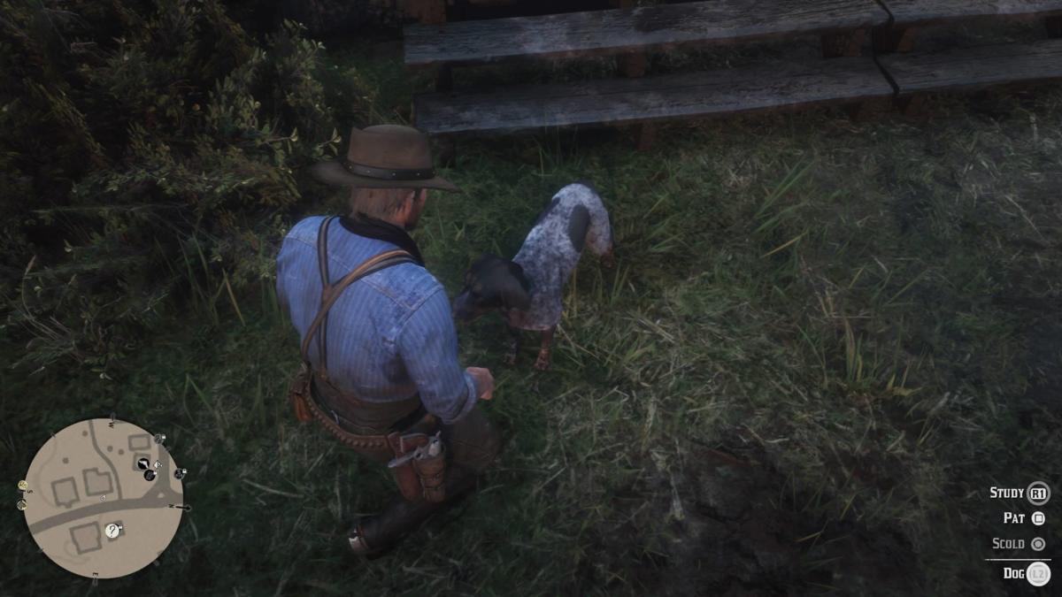 Red Dead Redemption 2 dogs
