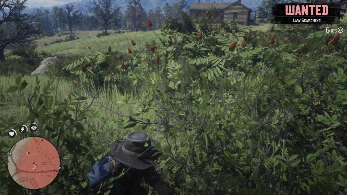 Red Dead Redemption 2 wanted