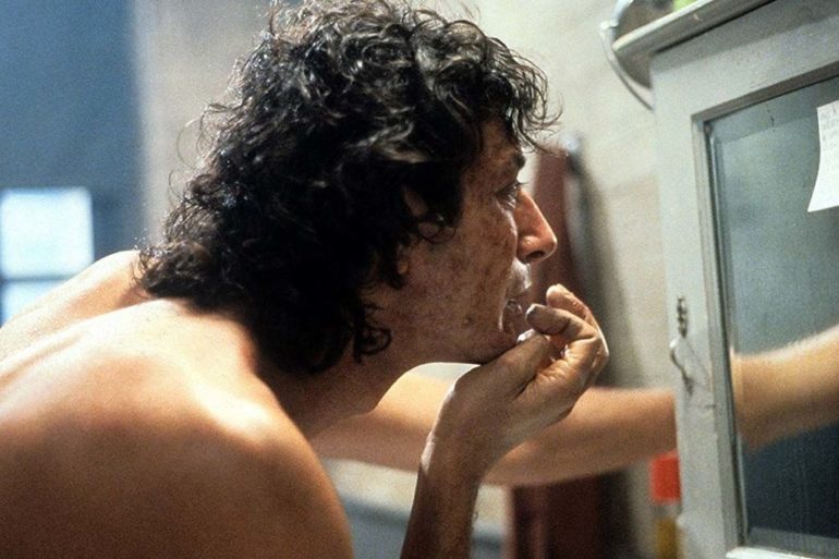 The Fly