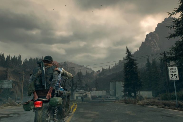 Days Gone photo mode