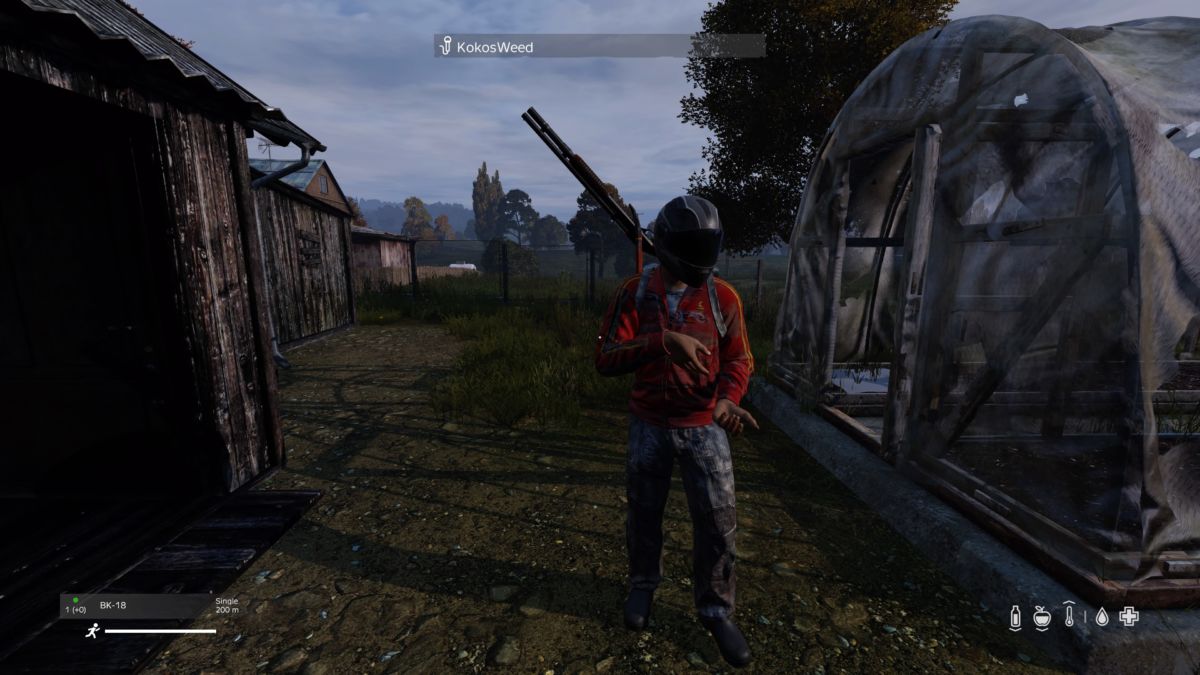 DayZ PS4