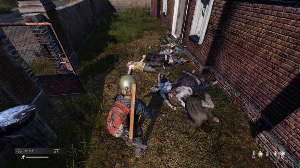 Dayz (PS4) : Video Games