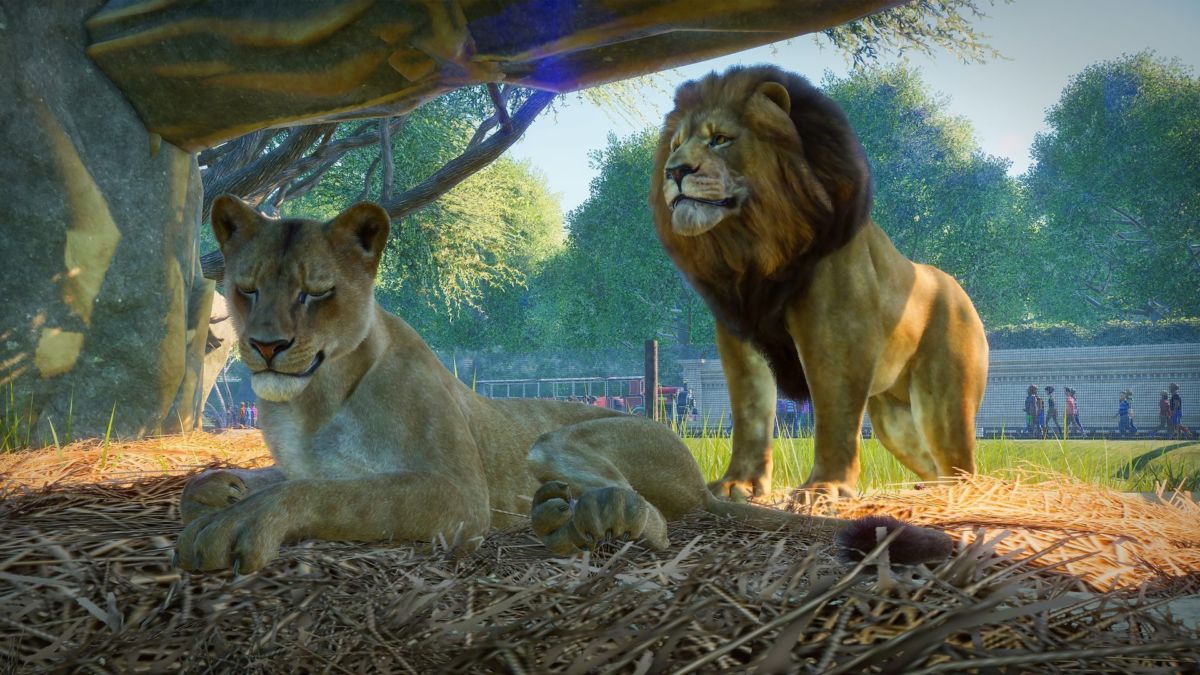 Planet Zoo is not Zoo Tycoon 2, or 3, Page 2