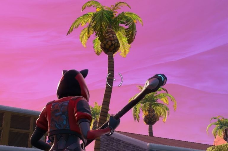 Fortnite Coconut
