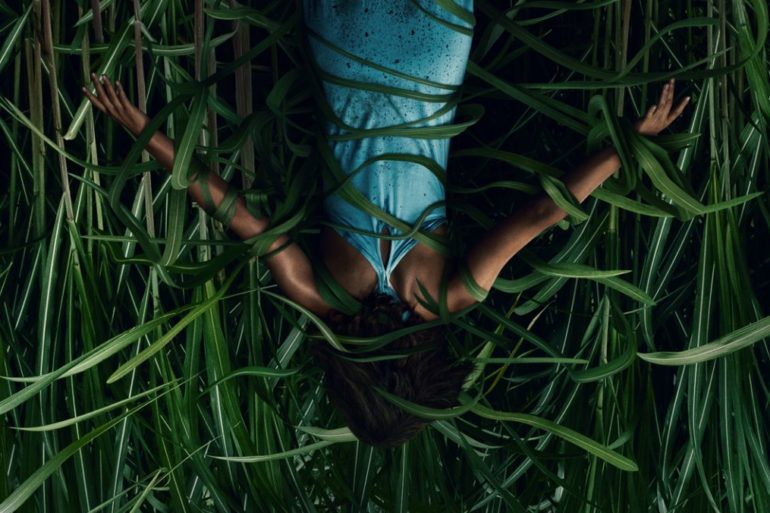 In the Tall grass