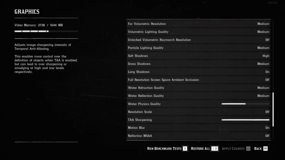 Red Dead Redemption 2 PC advanced settings