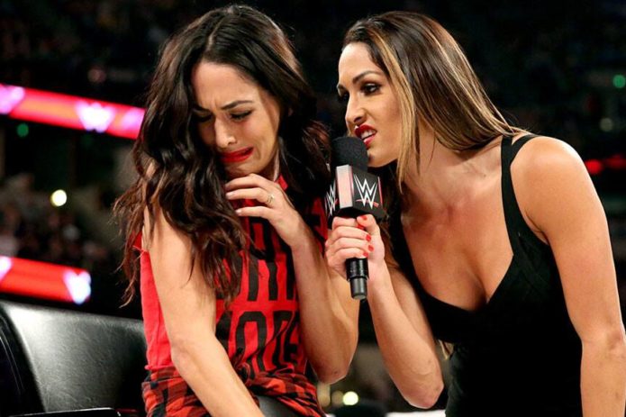 Nikki vs Brie Bella