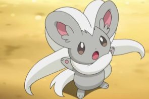 Minccino