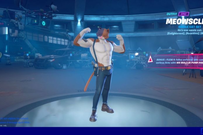 Fortnite Meowscles