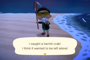 hermit crab Animal Crossing