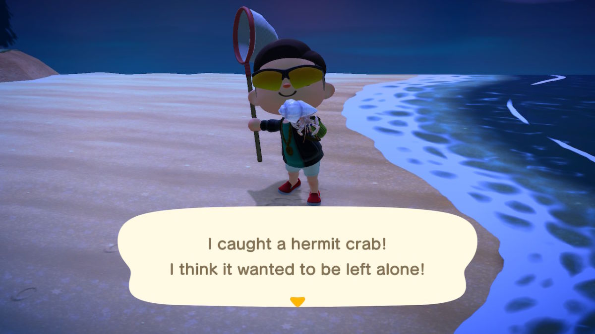 How To Catch A Hermit Crab In Animal Crossing
