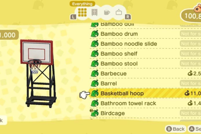 New Horizons Basketball Hoop
