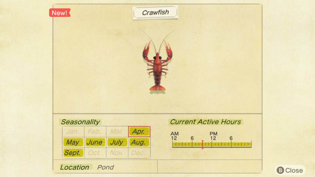 Animal Crossing: New Horizons: How To Catch The Crawfish