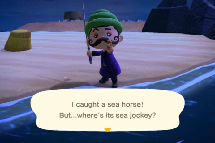 Sea Horse New Horizons