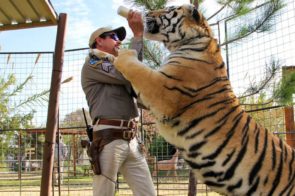 tiger king Joseph Maldonado-Passage