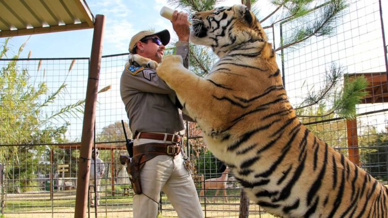 tiger king Joseph Maldonado-Passage