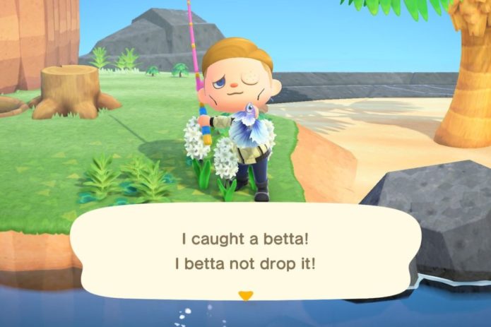 Betta New Horizons