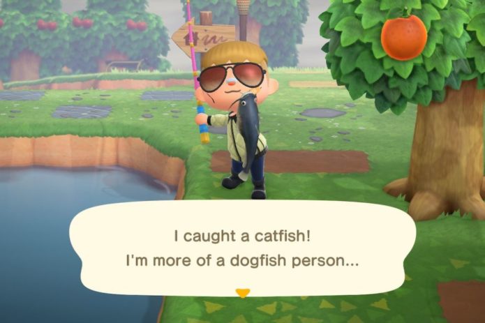 Catfish New Horizons 1