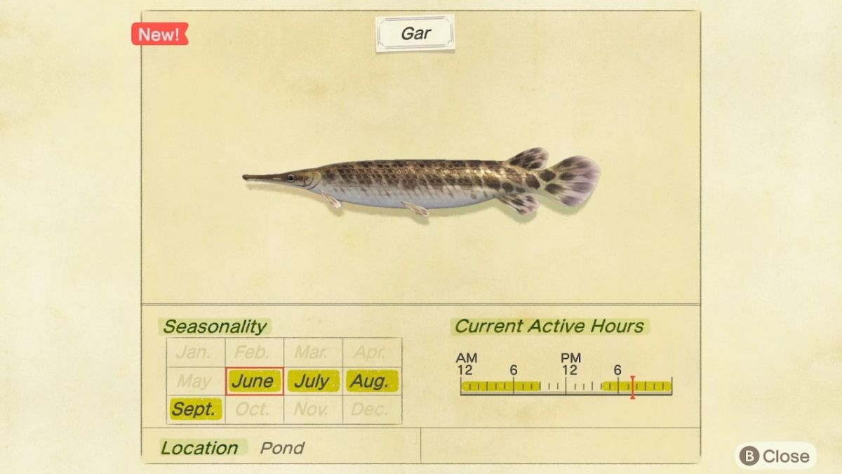 Gar