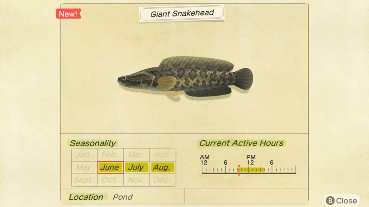 Animal Crossing: New Horizons: How To Catch Giant Snakehead