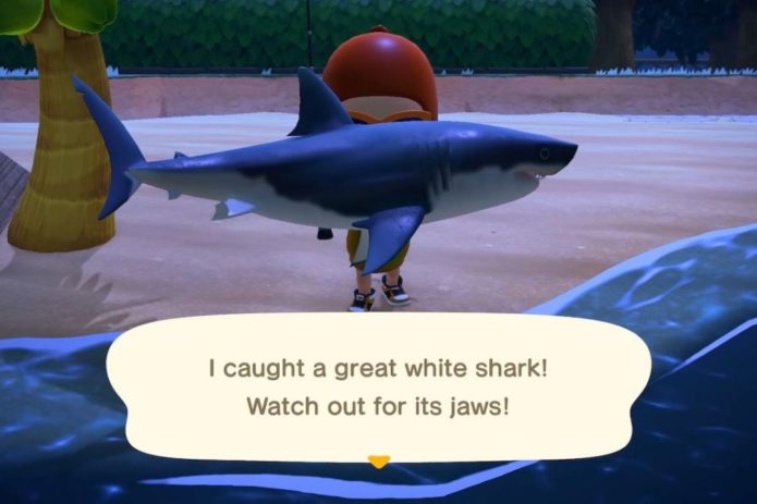 Great White Shark