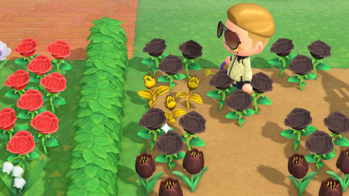 Animal Crossing: New Horizons: How To Grow Gold Flowers