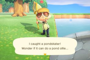 Pondskater
