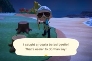 Rosalia Batesi Beetle