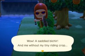 Saddled Bichir