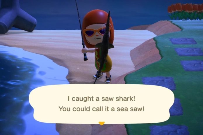 Saw Shark
