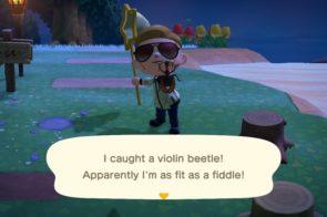 Violin Beetle