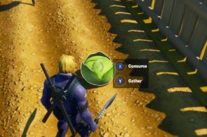 Fortnite Cabbages