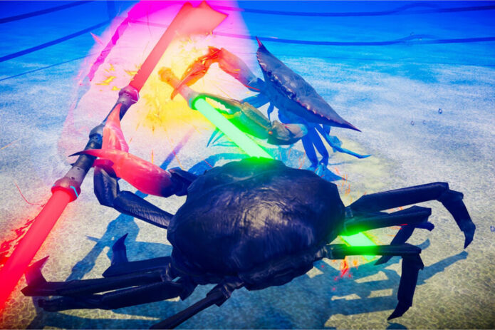 Fight Crab