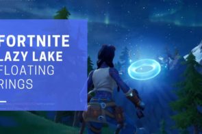 lAZY lAKE FLOATING RINGS