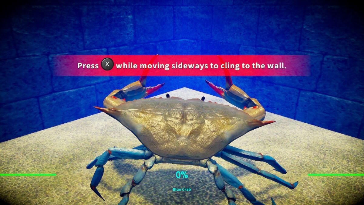 Краб мобайл. Файтинг краб 2. Fight Crab 2. Fighting Crabs in RPG meme.