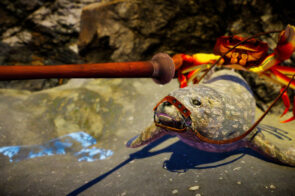 Fight Crab